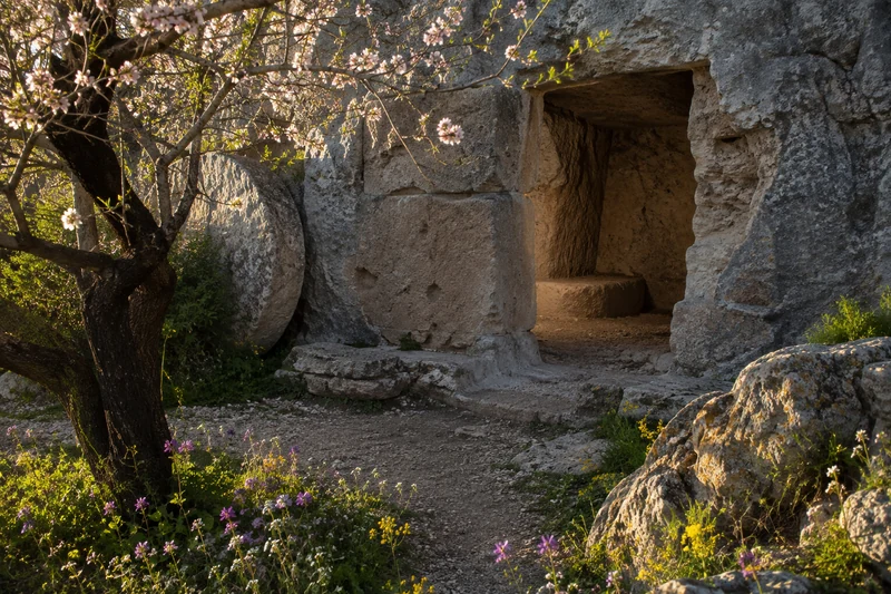 An illustrative empty rock-cut tomb beyond wildflowers in morning light